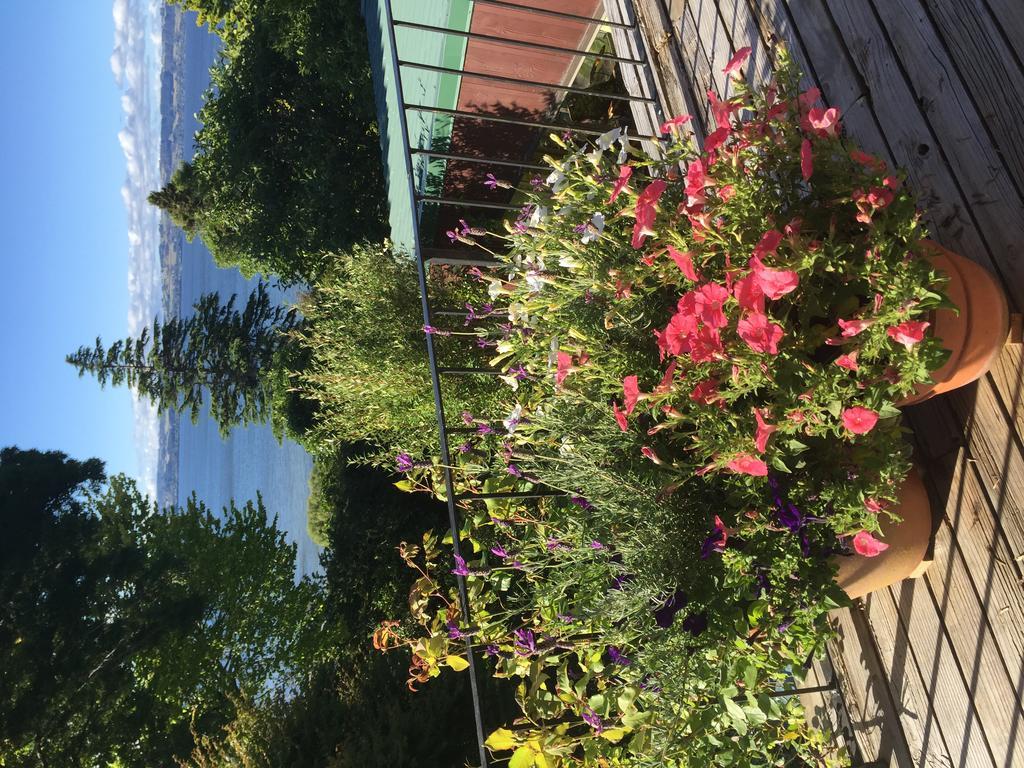 Lakeview Holiday Home Rotorua Dış mekan fotoğraf