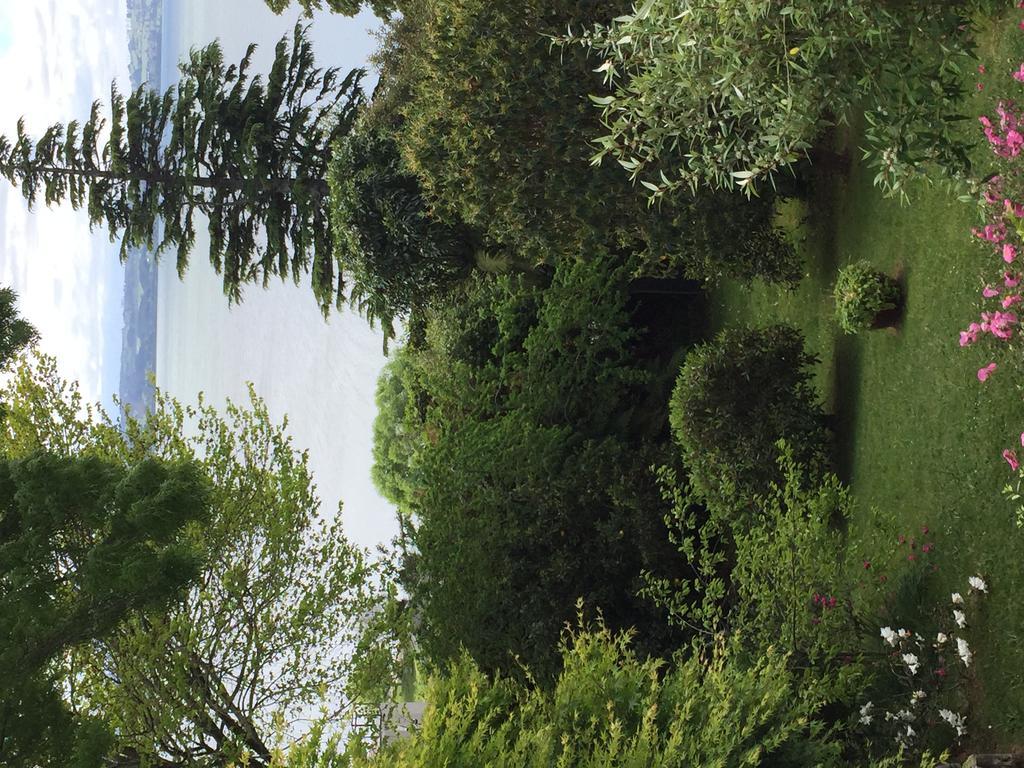 Lakeview Holiday Home Rotorua Dış mekan fotoğraf